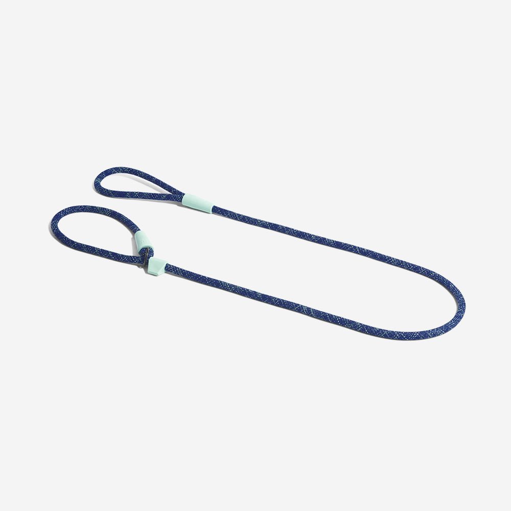 Indigo | Slip-on Leash