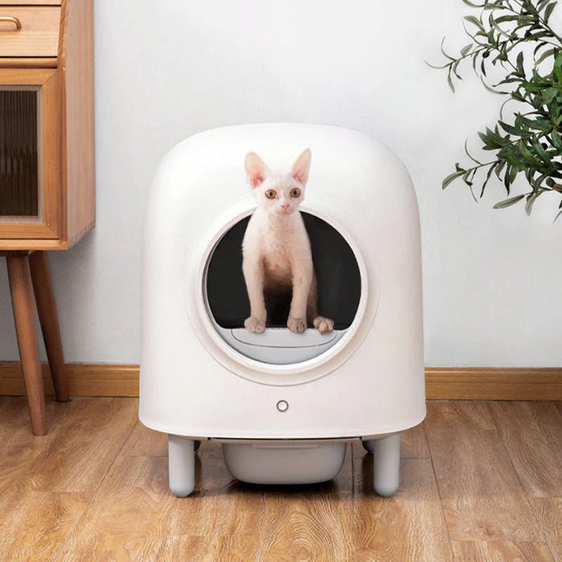 Automatic Self Cleaning Cat Litter Box - Image 9