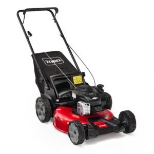 Toro Recycler Push Mower 140cc Briggs & Stratton Engine (21")