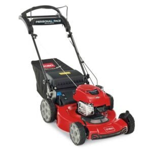 Toro Recycler Self-Propelled Mower 163cc Briggs & Stratton 7.25 TP (22")