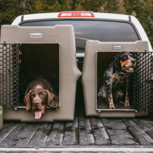 Reinforced One‑Piece High Impact CRaTe for Working and High‑Drive Dogs