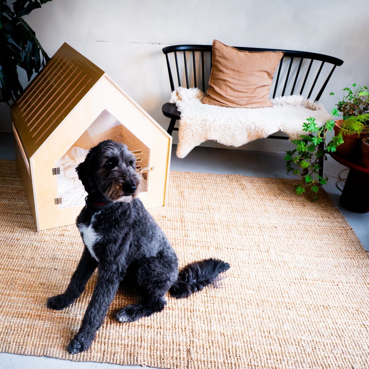 Luxury Dog House 'Classic Natural' - Image 5