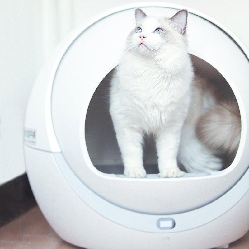 Automatic Self Cleaning Cat Litter Box - Image 6
